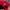 New Balance Warped Runner BNIB  photo 5
