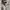 This is April Minimalist Casual Wanita gray photo 2