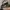 CONVERSE ONE STAR BLACK  photo 3