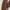 Cardigan Crop Colorbox photo 6