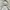 1990s Discus Athletic Blank Ash Grey Boxy Hoodie photo 3