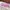 Smiggle Casual Handbag Wanita Pink
