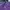 Gorpcore Casual Parka Pria purple photo 4