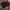 Gorpcore Casual Sunglass Pria Black