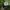 TOPI SRIXON GOLF ORIGINAL SECOND photo 4