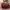 Casual Handbag Wanita burgundy photo 2