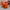 Casual Shoulder bag Wanita orange photo 2