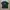 tshirt mlb big logo photo 4