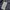 stone island nylon metal tyvek hidden hoodie photo 6