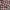 Kemeja Crop Notyourcompanny photo 4