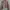 Kemeja Crop Notyourcompanny photo 5