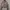 Kemeja Crop Notyourcompanny photo 1