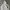 2000's Hoodie Gray Boxy photo 5