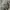 Cargo carpenter longpants ecko unltd photo 4