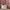 Guess Minimalist Casual Crossbody Bag Wanita white gray photo 1