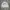 Thanksinsomnia Streetwear Suit Pria cream blue photo 1