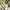 Uniqlo Casual Shirt Wanita multicolor yellow photo 4