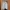 long shirt big pocket photo 1
