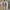Y2K Chrome Hearts Font Quotes Statement White Tee photo 1