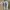 Y2K Chrome Hearts Font Quotes Statement White Tee