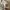 Y2K Chrome Hearts Font Quotes Statement White Tee photo 3