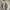 Y2K Chrome Hearts Font Quotes Statement White Tee