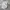 Nike ACG Vintage Streetwear T-shirt Pria white photo 8