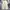 (Size 26) GU Wide Ballon Jeans White photo 3