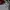 New Balance Streetwear Hoody Pria multicolor white photo 3