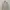MHL Margaret Howell Cardigan Knitwear photo 1