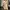 Spao Minimalist Casual Shirt Dress Wanita Tan Khaki