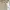 Spao Minimalist Casual Shirt dress Wanita tan khaki photo 5