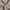 Basic Japanese wool blend tailored trousers light tan regula photo 4