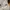 CONVERSE® CTAS 70’s Hi White photo 4