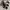 Birkenstock Casual Sandals & slide Wanita gray photo 2
