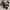 Birkenstock Casual Sandals & Slide Wanita Gray
