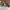 Birkenstock Casual Sandals & slide Wanita gray photo 4