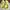 Crocs Casual Sandals & slide Wanita yellow photo 1