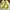 Crocs Casual Sandals & Slide Wanita Yellow