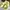 Crocs Casual Sandals & Slide Wanita Yellow