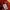 shiki tokyo 2022 autumn collection Oversized Handstitch photo 5