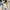 HOMSKIN | EXCLUSIVE ITEM, LIMITED EDITION  | BLOTCHYIE photo 3