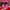 Nike Casual Sandals & slide Wanita pink photo 3
