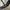 REALTREE HAT BY REALTREE photo 6