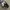 REALTREE HAT BY REALTREE photo 7