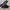 Converse Sneakers Pria black photo 1