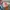 Levi's Streetwear Y2K Jeans Pria multicolor photo 5