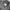 The Virgnia Jumper Blouson Outerwear Ribbed Switching  Size photo 4