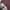 Green Beret knitwear v neck photo 4