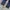 Dickies Long Pants 874 Navy photo 5